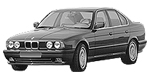 BMW E34 P391E Fault Code