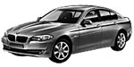 BMW F10 P391E Fault Code